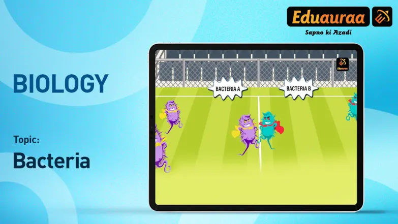 Learn About The Useful Role of Bacteria 