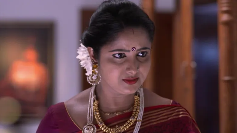 Anand wanders in search of Kalyani - Chembarathi Episode 18