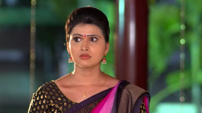Priest finds a match for Archana - Radhamma Kuthuru Episode 24