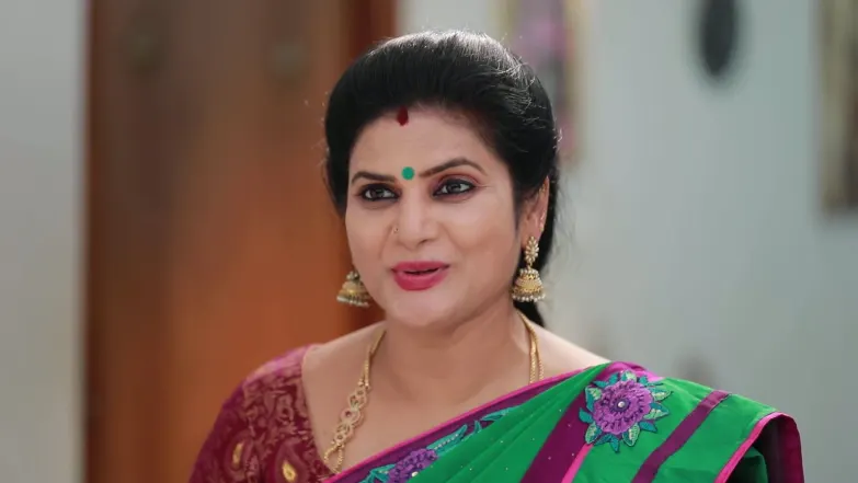 Jhansi Devi’s Decision Angers Meena Episode 243