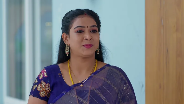 Meghasandesam - July 22, 2026 - Episode Spoiler