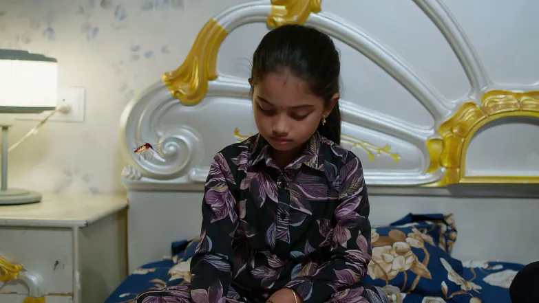 Nindu Noorella Saavasam - July 25, 2026 - Episode Spoiler