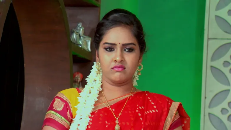 Shrinidhi's Accusation Shakes Venkatalakshmi Episode 365