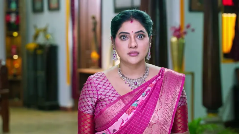 Karthigai Deepam - August 17, 2026 - Episode Spoiler