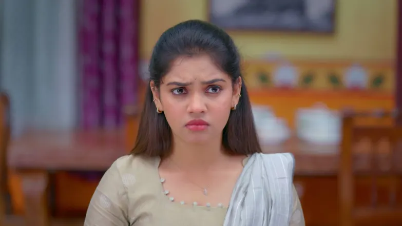 Meenakshi Criticises Mano Episode 196