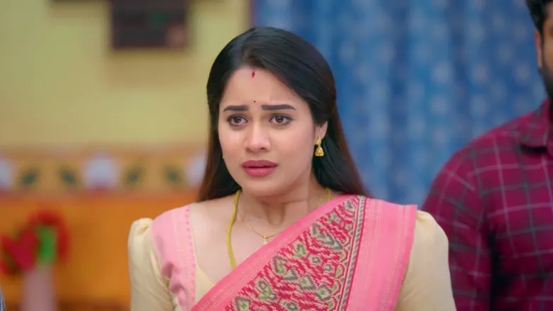 Meenakshi Stands up for Thenu Episode 195