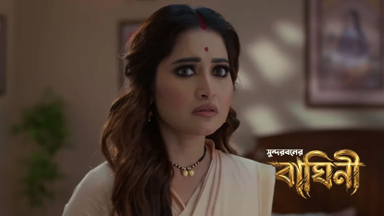 Sundorboner Baghini - September 13, 2026 Episode 21
