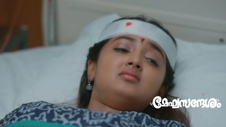 Udhay Decides to Fulfil Pooja's Wish Episode 388