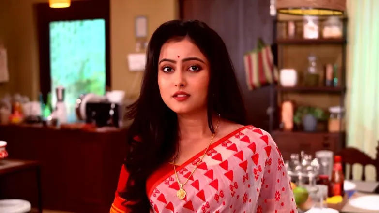 Ayan and Maumita’s Plan Works Episode 14