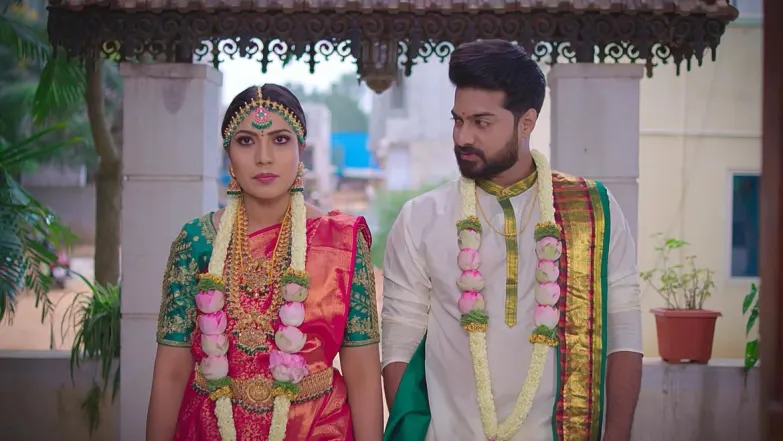 Tulasi Performs Siri's 'Griha Pravesh' Episode 21