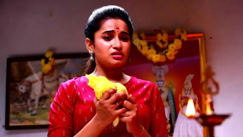 Subramani Refuses to Believe Ragini Episode 18