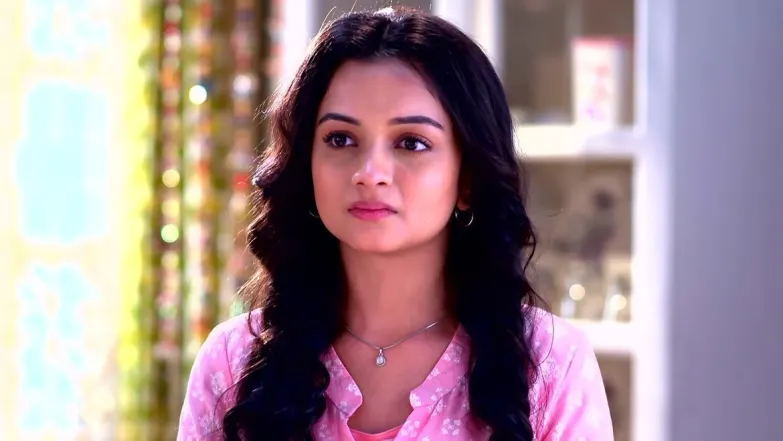 Anindya Worries about Megh Episode 14