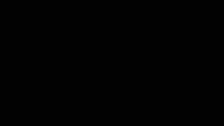 Episode 8 - Season 2 Episode 8
