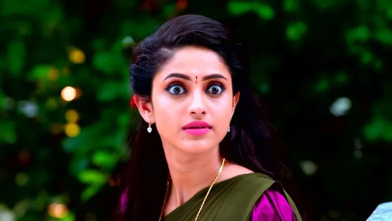 Sathya and Nithya See Each Other Episode 23
