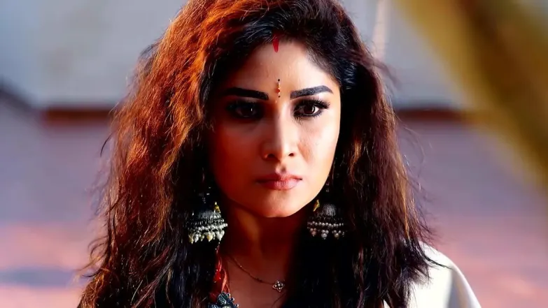 Seetha Enters Mahalakshmi’s House Episode 17