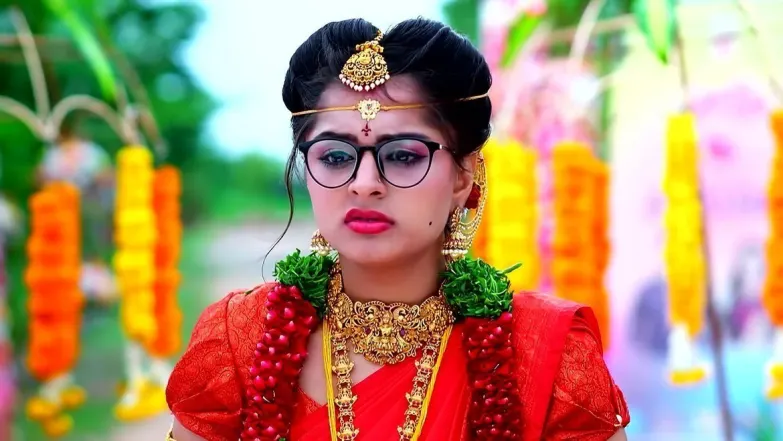 Mahalakshmi Reveals that Seetha Slapped Her Episode 14