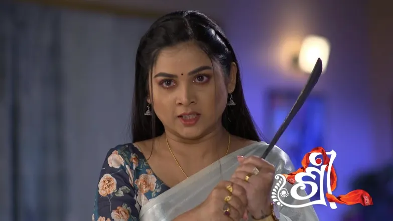 Bhargavi's Goon Kills Raaj's Security Guard Episode 19