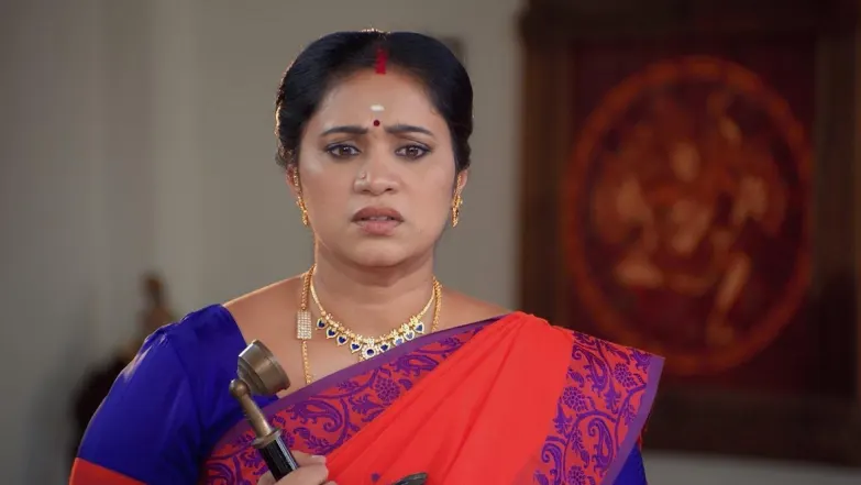 Sandhya Raagam - April 24, 2024 - Episode Spoiler