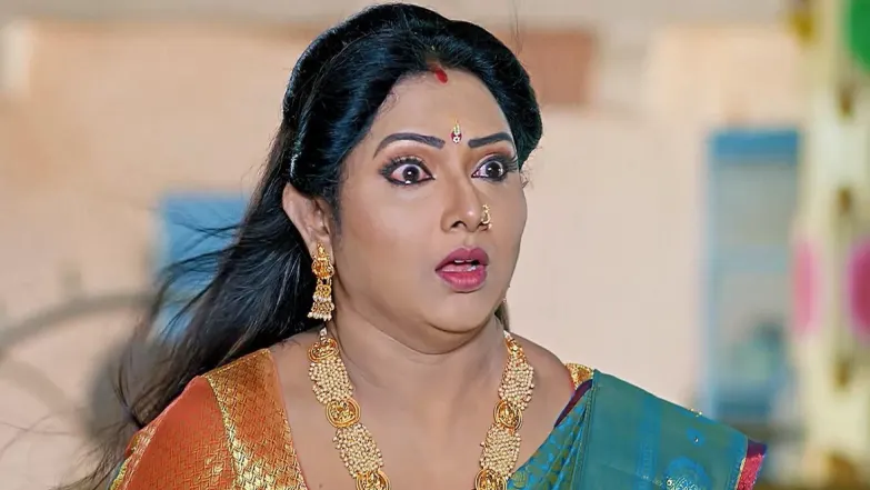 Vaidehi Parinaya - May 07, 2024 - Episode Spoiler