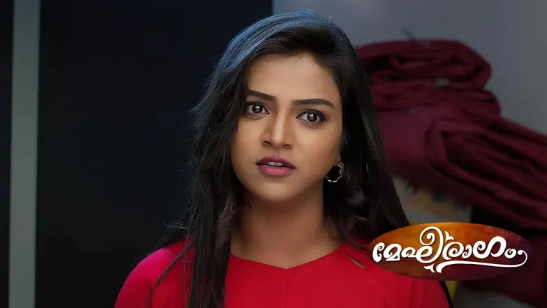 Meghana Expresses Her Grief to Mithun Episode 287