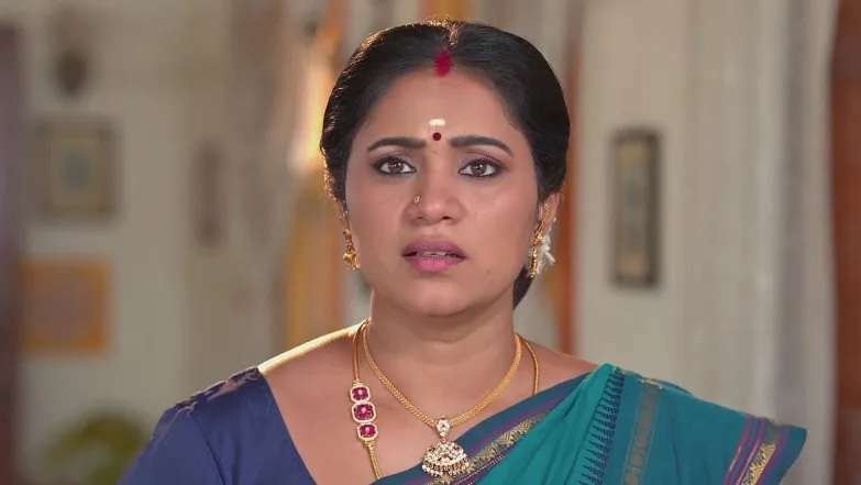 Seenu's Attire Surprises Janaki | Sandhya Raagam 