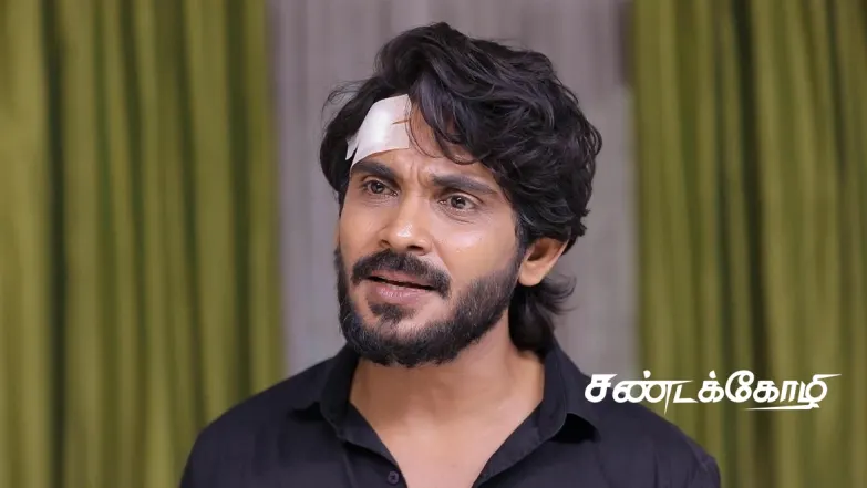 Nandini's Plan Shocks Vijay Episode 366