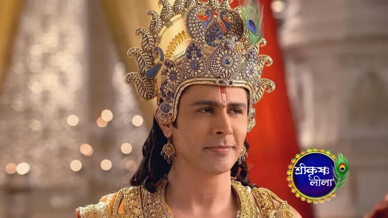 Krishna Wishes to Free the Earth from the Perils Episode 494