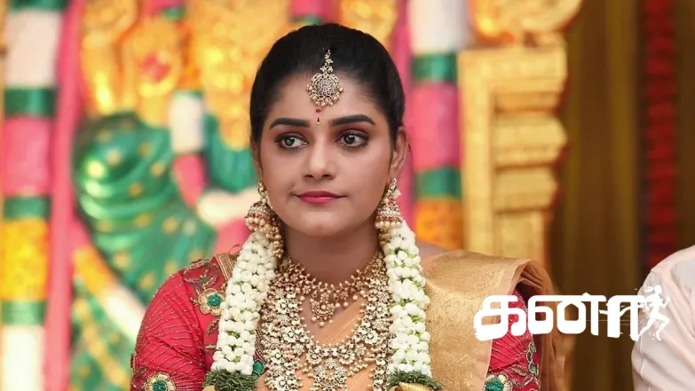 Anbarasi and Vishwa Get Married Episode 541