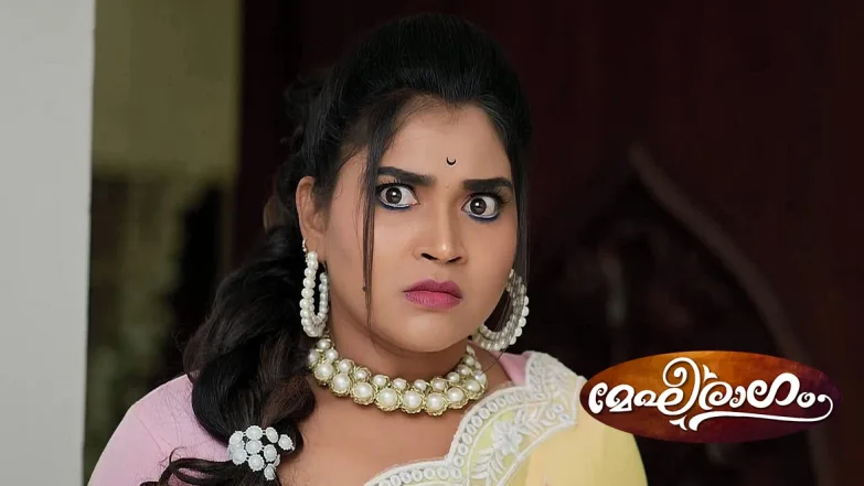Meghana Stops Priyamvada Episode 339