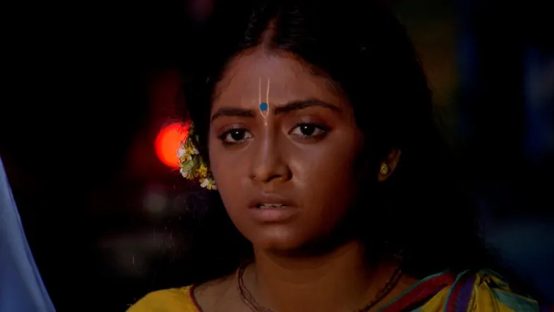 Priyanka's Behaviour Surprises Nikhil Episode 24