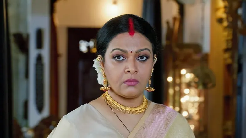 Sulochana Convinces Seetha to Visit Rudra Prathap Episode 18