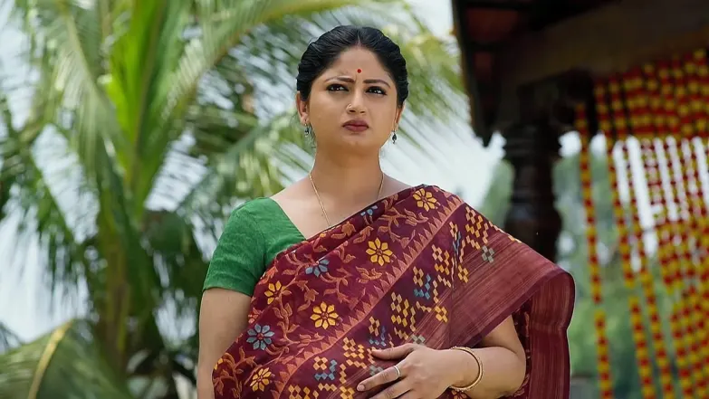 Janaki and Ramayya's Grandson's Naming Ceremony Episode 1