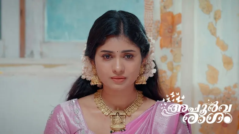 Gopika's Family Stops Radhika and Ramabhadran's Wedding Episode 24