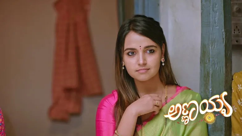Annayya - January 02, 2025 Episode 101