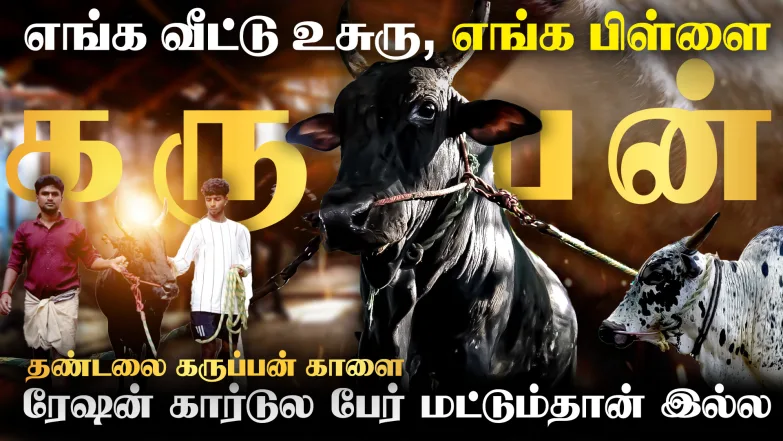 Jallikattu Stories - Episode 2 Episode 2