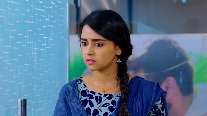 Geetha Govinda - March 14, 2025 Episode 68