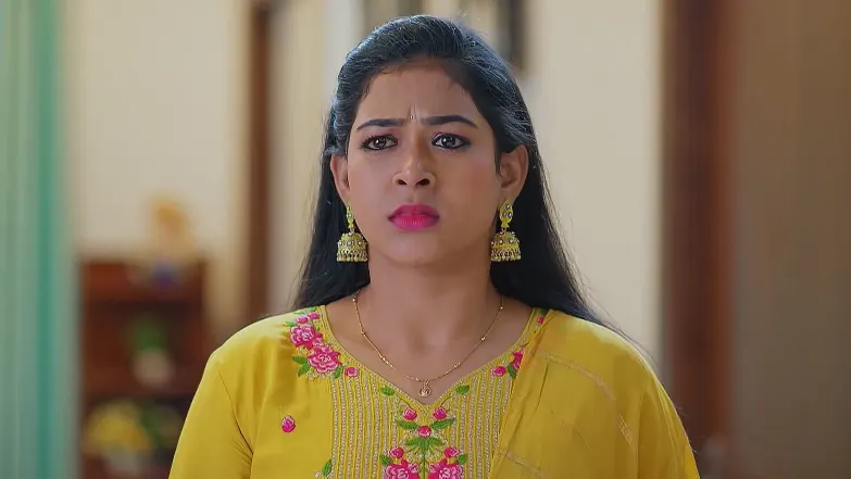 Meghasandesam - March 16, 2025 - Best Scene 