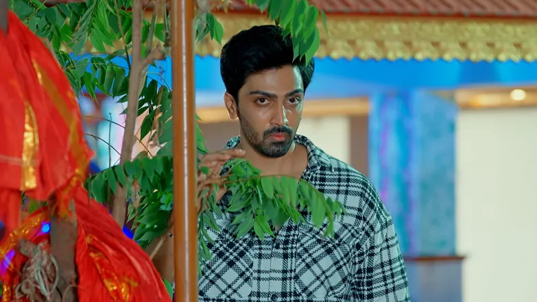 Snehapoorvam Shyama - March 17, 2025 - Episode Spoiler