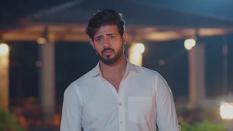 Meghasandesam - March 21, 2025 - Best Scene 