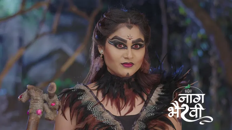 Bhairavi Has a Huge Misunderstanding about Arjun Episode 63
