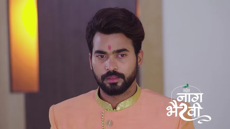 Swamiji Instructs Arjun to Retrieve Naagmani Episode 70