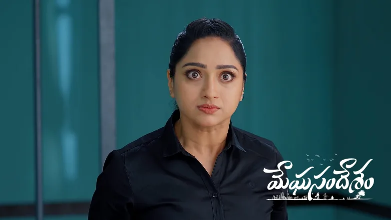 Nayani Catches Sharath’s Attacker Episode 294