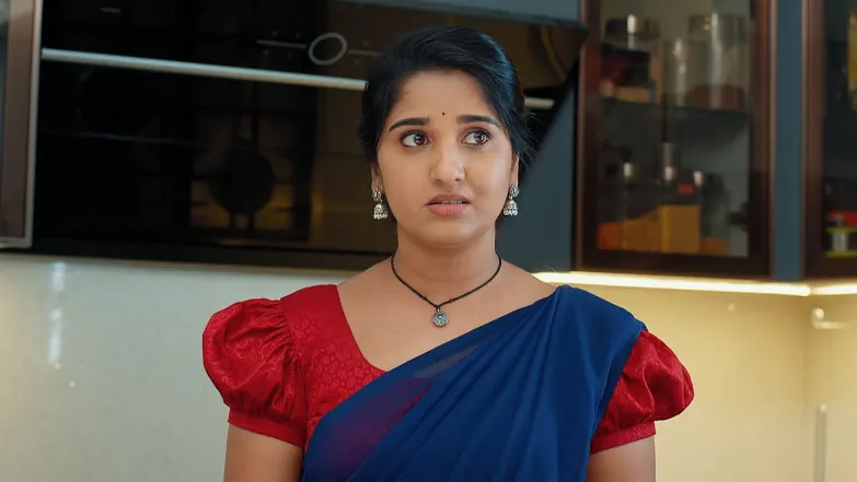 Chamanthi - April 23, 2025 - Episode Spoiler