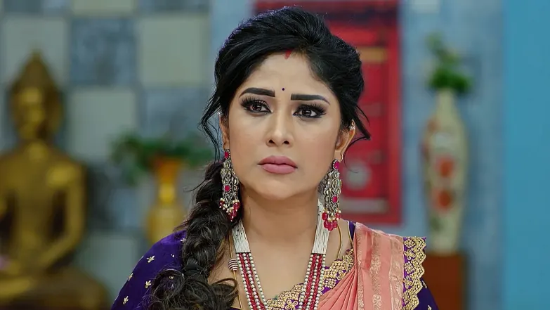Seethe Ramudi Katnam - April 25, 2025 - Episode Spoiler