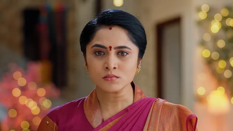 Meghasandesam - April 22, 2025 - Episode Spoiler