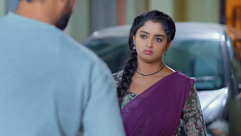 Meghasandesam - April 24, 2025 - Episode Spoiler