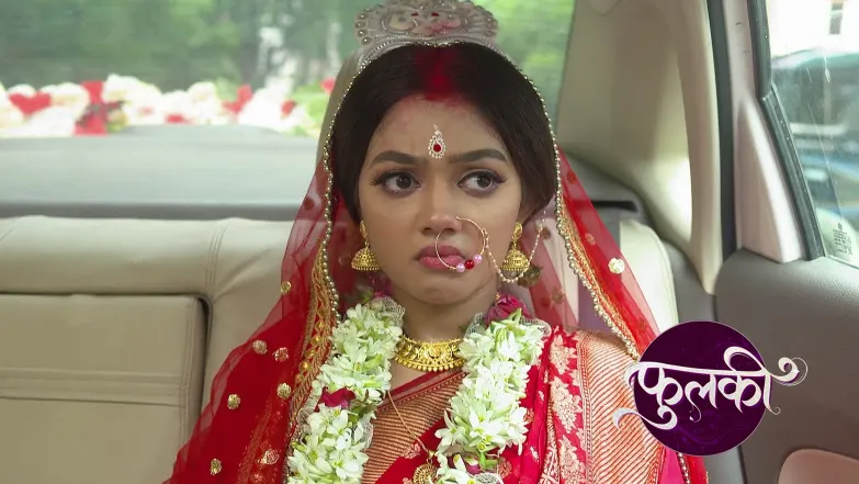 Hemanti Welcomes Rohit and Phulki Home Episode 19