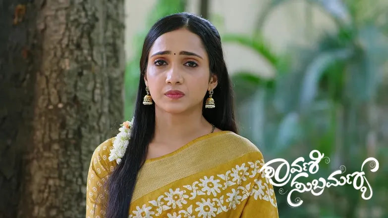 Shravani Panics over Subbu's Decision Episode 288