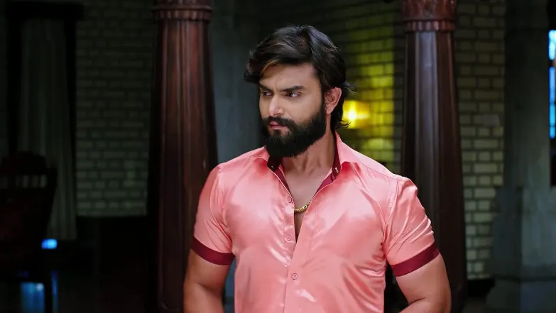 Annayya - April 25, 2025 - Episode Spoiler