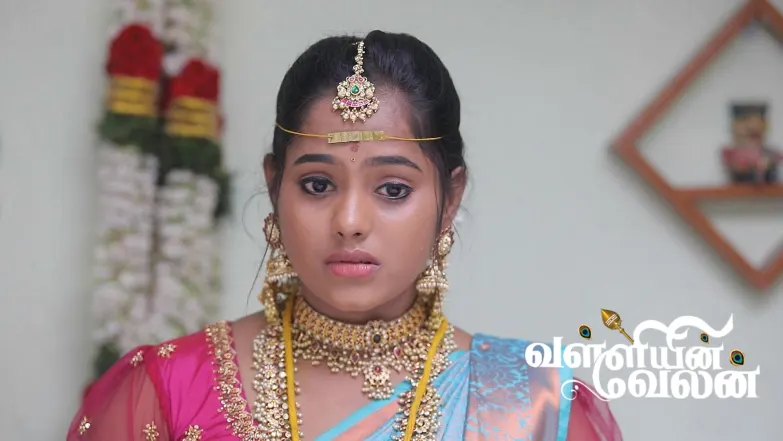 Janaki Vows to Expose Vedhanayagi Episode 186
